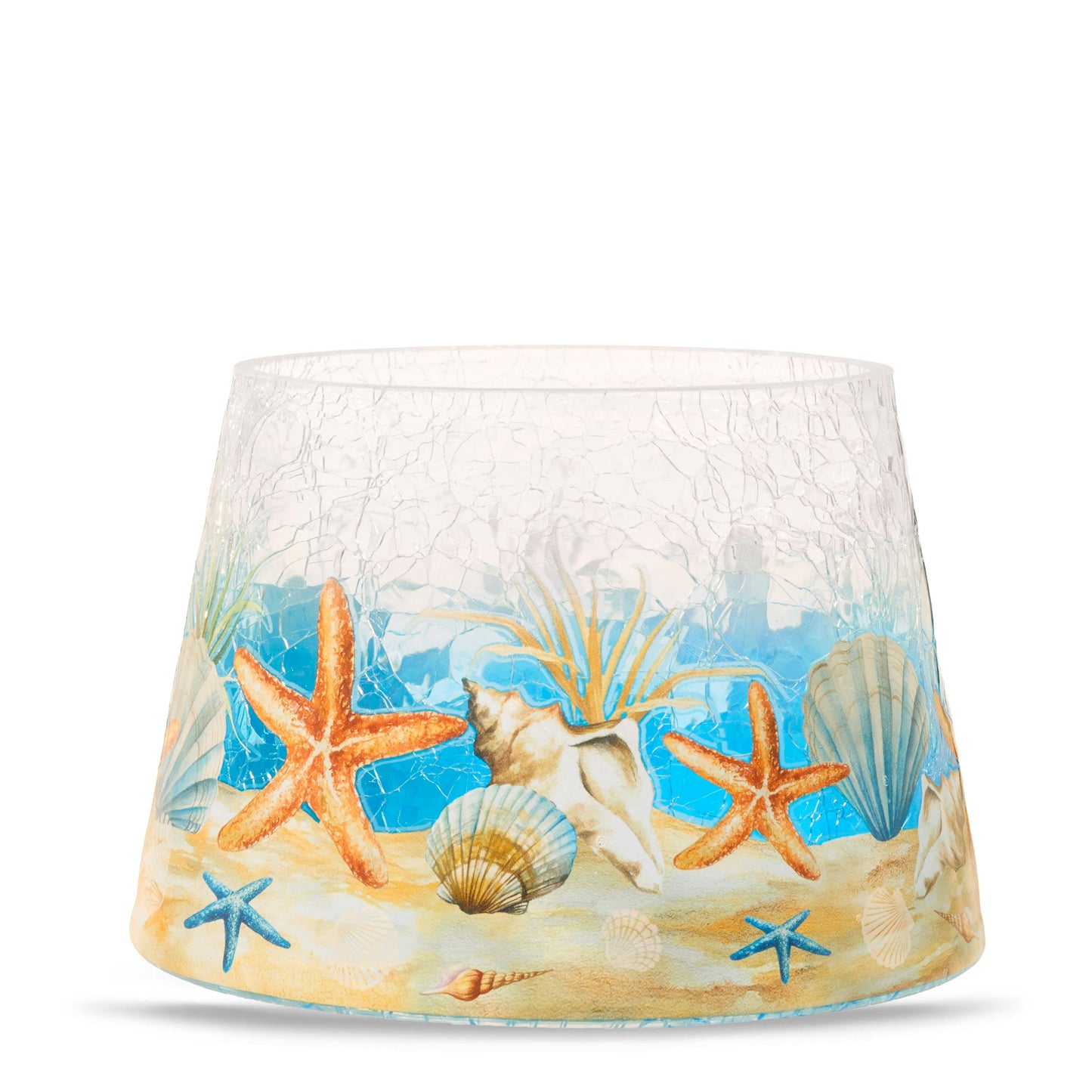 Seashell Jar Shade (BMDW)